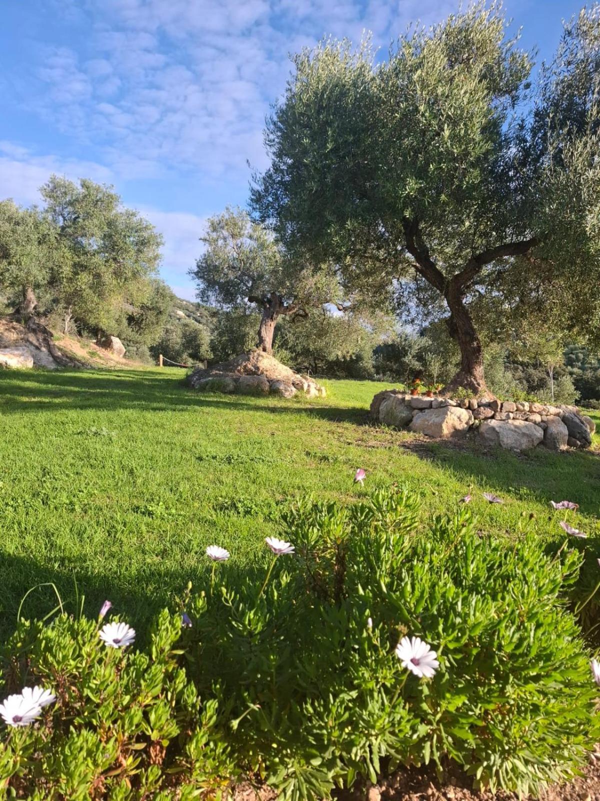 Hacienda Molino Nuevo Villa Algodonales Exterior foto